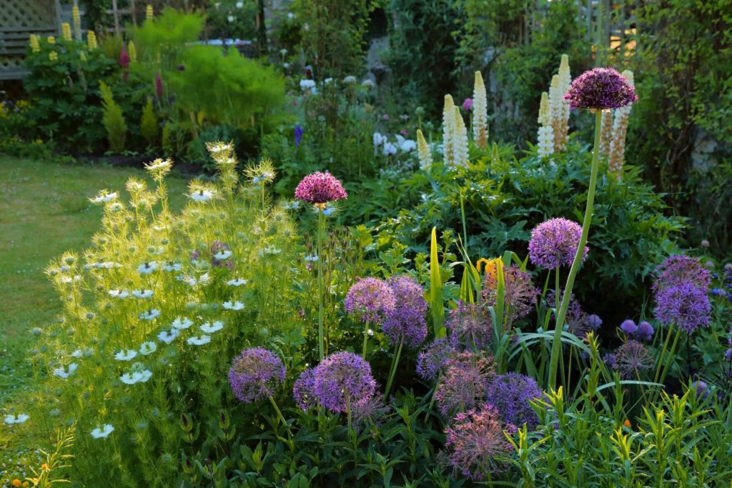 Sustainable Landscapes: Enhancing Beauty and Biodiversity in Your Garden