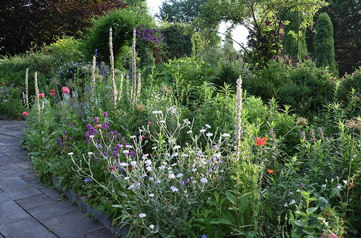 Blossoms and Beyond: Exploring the Seasonal Cycles of Garden Plants