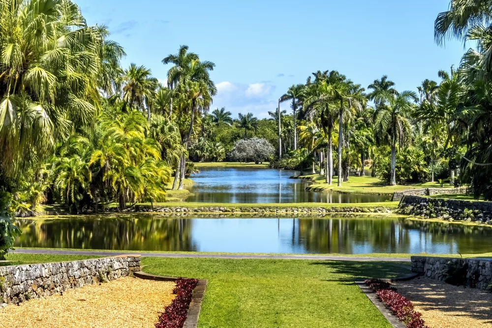 Nature’s Symphony: The Ever-Changing Landscape of Your Garden