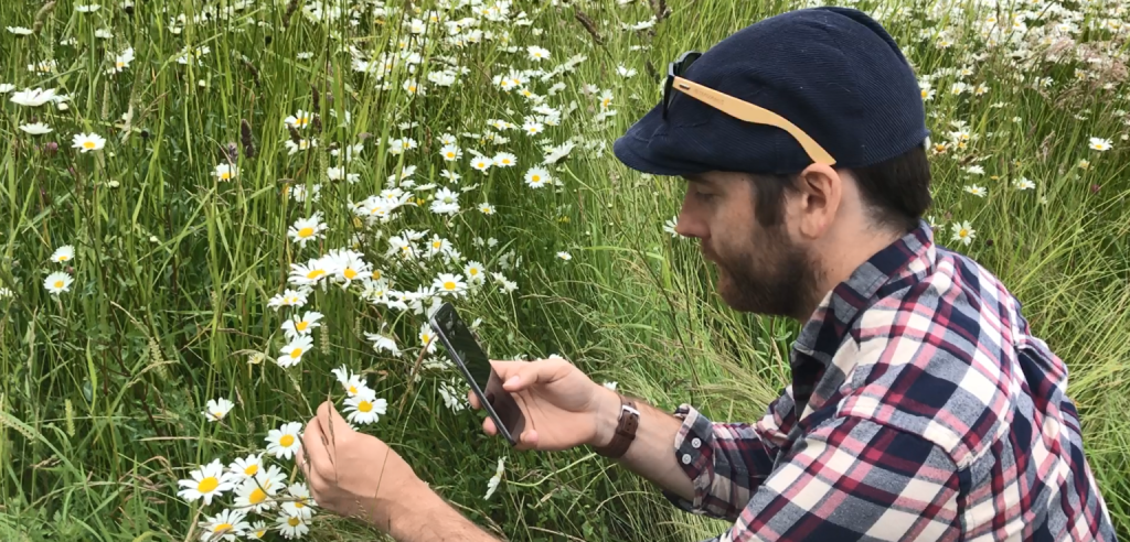 Discovering Nature’s Secrets: The Importance of Plant Identification